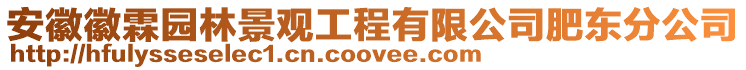 安徽徽霖園林景觀工程有限公司肥東分公司