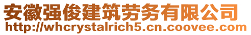 安徽強俊建筑勞務(wù)有限公司