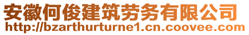 安徽何俊建筑勞務有限公司