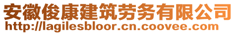 安徽俊康建筑勞務有限公司