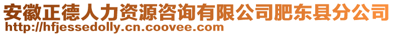 安徽正德人力資源咨詢有限公司肥東縣分公司