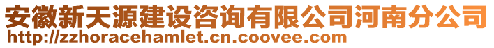 安徽新天源建設(shè)咨詢有限公司河南分公司