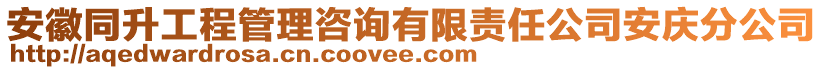 安徽同升工程管理咨詢有限責(zé)任公司安慶分公司