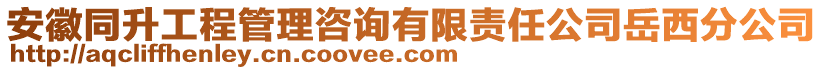 安徽同升工程管理咨詢有限責(zé)任公司岳西分公司