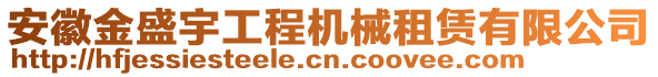 安徽金盛宇工程機械租賃有限公司