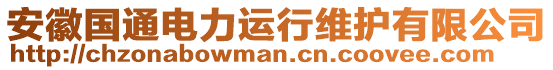 安徽國通電力運(yùn)行維護(hù)有限公司