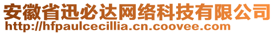 安徽省迅必達(dá)網(wǎng)絡(luò)科技有限公司