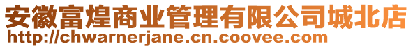 安徽富煌商業(yè)管理有限公司城北店