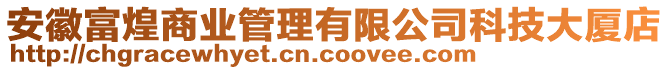 安徽富煌商業(yè)管理有限公司科技大廈店