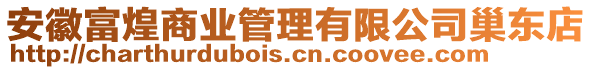 安徽富煌商業(yè)管理有限公司巢東店