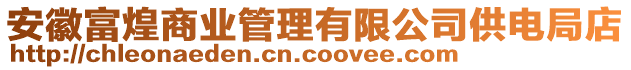 安徽富煌商業(yè)管理有限公司供電局店