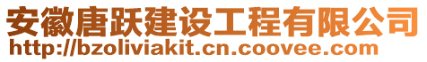 安徽唐躍建設工程有限公司