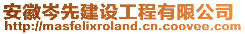 安徽岑先建設工程有限公司