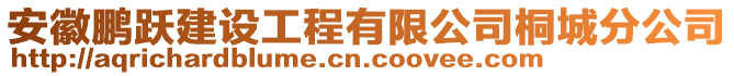 安徽鵬躍建設(shè)工程有限公司桐城分公司