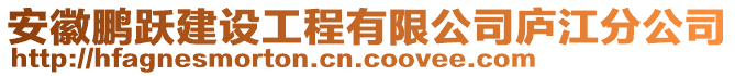 安徽鵬躍建設(shè)工程有限公司廬江分公司