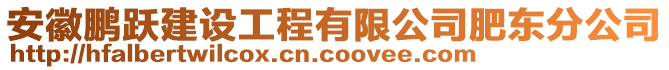 安徽鵬躍建設(shè)工程有限公司肥東分公司