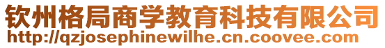 欽州格局商學(xué)教育科技有限公司