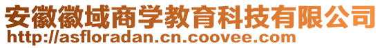 安徽徽域商學(xué)教育科技有限公司