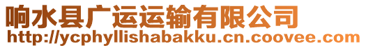 響水縣廣運(yùn)運(yùn)輸有限公司