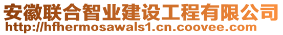 安徽聯(lián)合智業(yè)建設(shè)工程有限公司