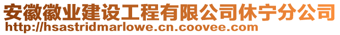 安徽徽業(yè)建設(shè)工程有限公司休寧分公司