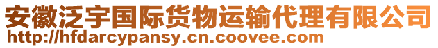 安徽泛宇國(guó)際貨物運(yùn)輸代理有限公司