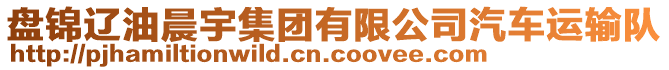 盤錦遼油晨宇集團(tuán)有限公司汽車運(yùn)輸隊(duì)