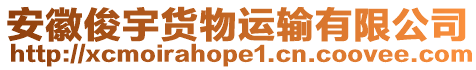 安徽俊宇貨物運輸有限公司