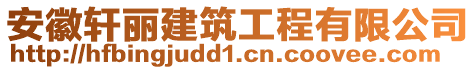 安徽軒麗建筑工程有限公司