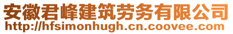 安徽君峰建筑勞務(wù)有限公司