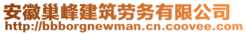 安徽巢峰建筑勞務有限公司