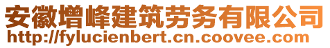 安徽增峰建筑勞務有限公司