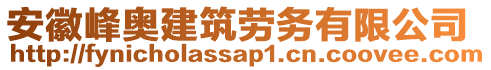 安徽峰奧建筑勞務(wù)有限公司