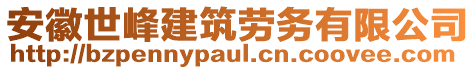 安徽世峰建筑勞務(wù)有限公司