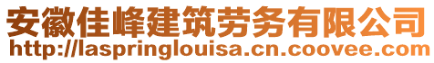 安徽佳峰建筑勞務有限公司