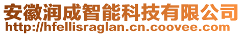 安徽潤(rùn)成智能科技有限公司