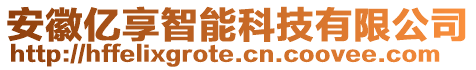 安徽億享智能科技有限公司