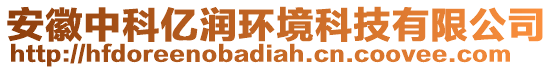 安徽中科億潤環(huán)境科技有限公司