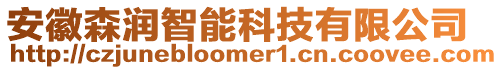 安徽森潤智能科技有限公司