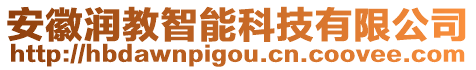 安徽潤(rùn)教智能科技有限公司