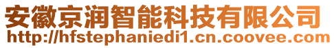 安徽京潤智能科技有限公司