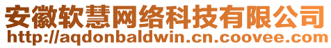 安徽軟慧網(wǎng)絡(luò)科技有限公司