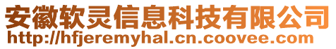 安徽軟靈信息科技有限公司