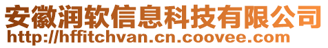 安徽潤軟信息科技有限公司