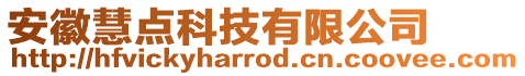 安徽慧點科技有限公司