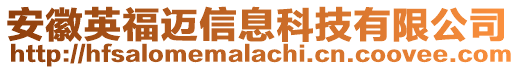 安徽英福邁信息科技有限公司