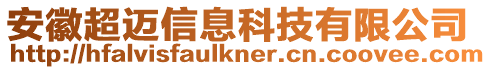 安徽超邁信息科技有限公司