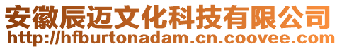 安徽辰邁文化科技有限公司