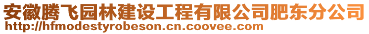 安徽騰飛園林建設(shè)工程有限公司肥東分公司