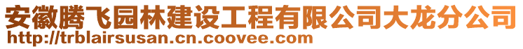 安徽騰飛園林建設(shè)工程有限公司大龍分公司